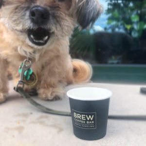 dog-friendly-downtown-cary-brew-coffee
