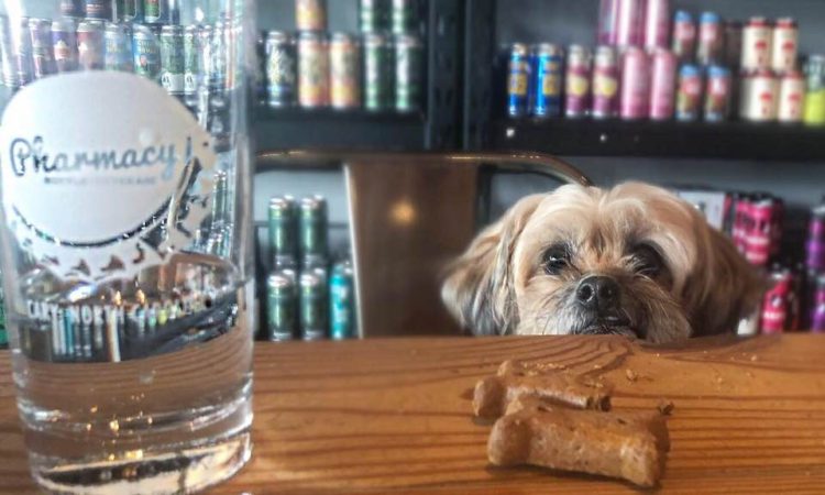 dog-friendly-downtown-cary-pharmacy-bottle-beverage