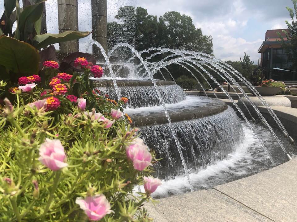 cary-downtown-park